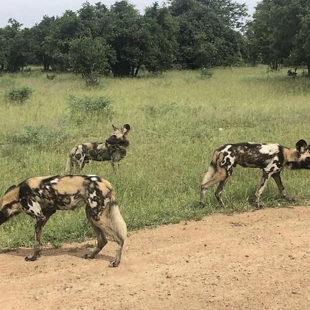 Marula Lodge Mfuwe Kültér fotó
