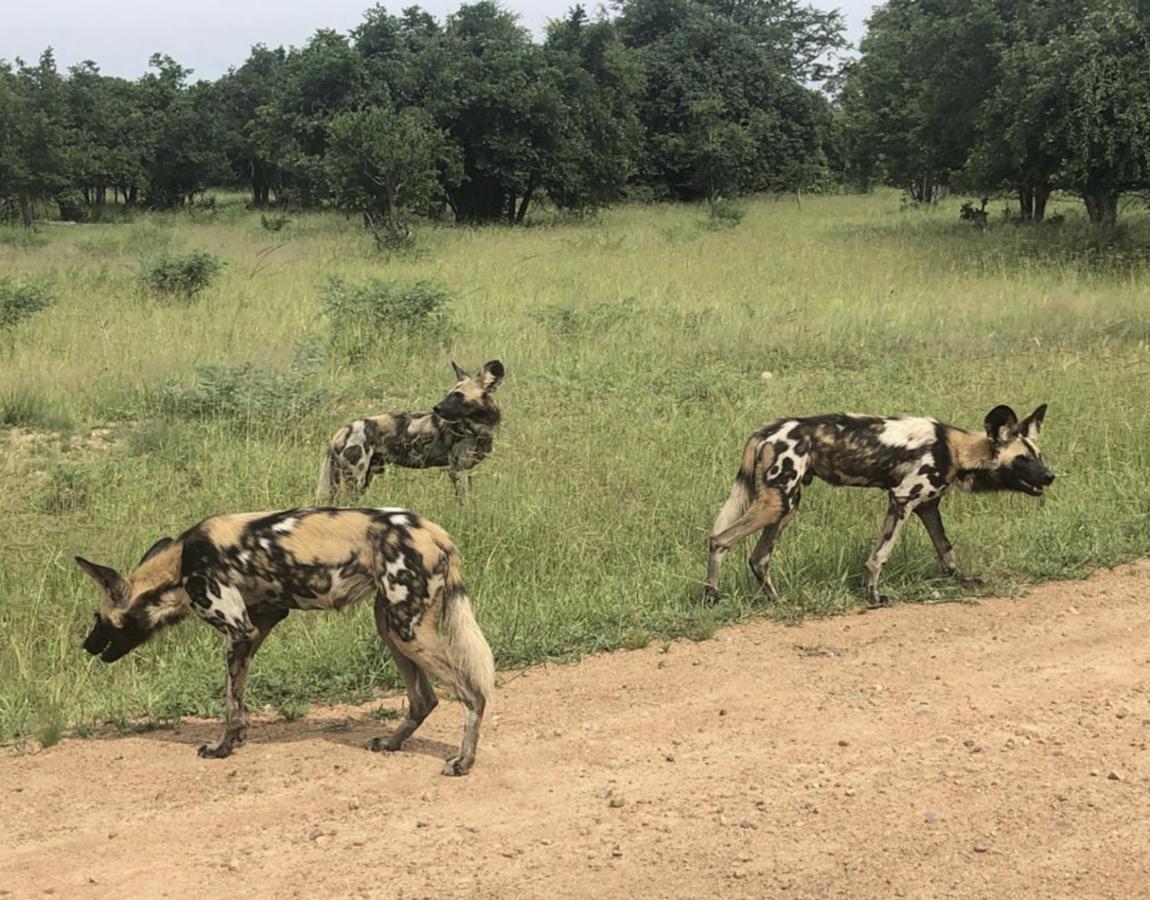 Marula Lodge Mfuwe Kültér fotó